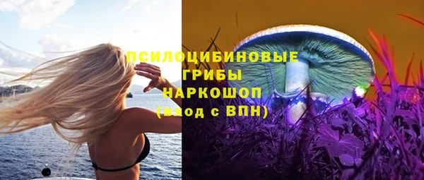прущие крисы Абинск